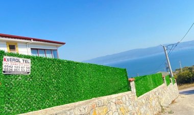 ÇİM ÇİT FİYATLARI